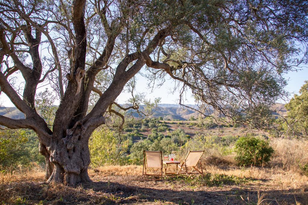 Bauernhof Monte Oliva -