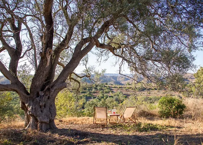 Monte Oliva - Turismo Rural