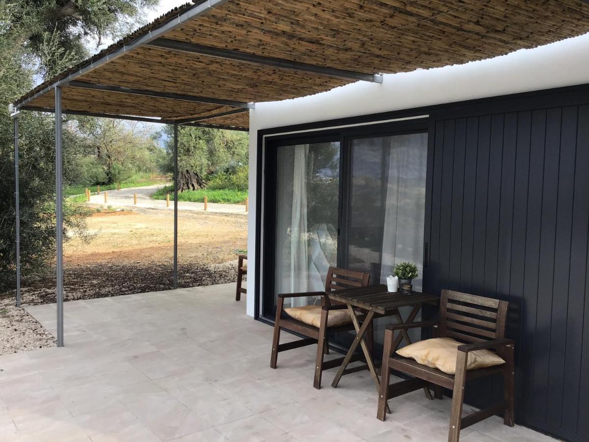 Monte Oliva - Farm stay *